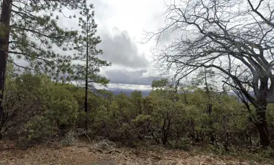 Dog leads searchers to his lost owner in Sierra foothills — then disappears