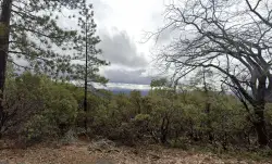 Dog leads searchers to his lost owner in Sierra foothills — then disappears